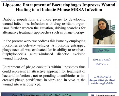 Liposome Entrapment of Bacteriophages Improves Wound Healing in a Diabetic Mouse MRSA Infection
