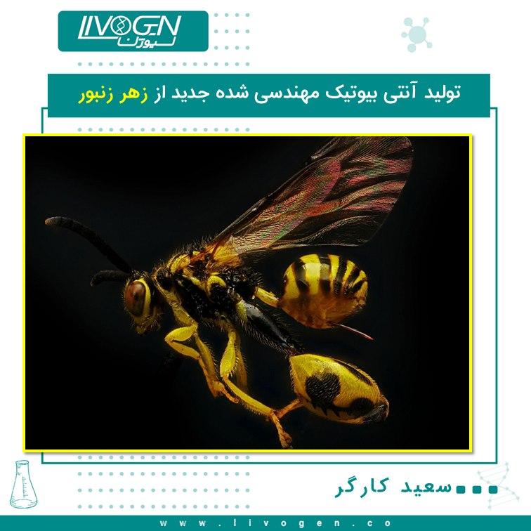 تولید آنتی بیوتیک مهندسی شده جدید از زهر زنبور - سعید کارگر