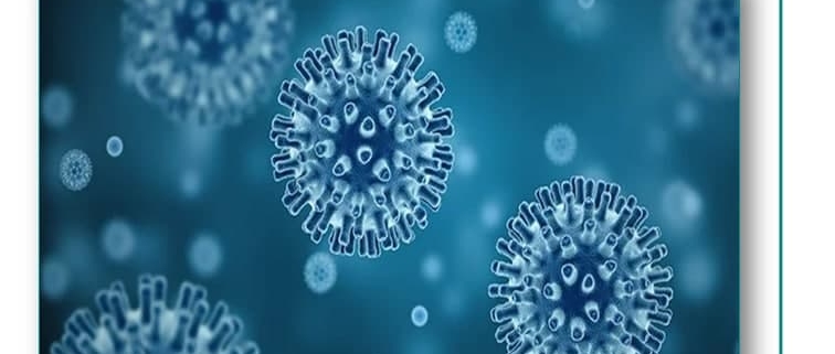کشف بیش از 140 هزار گونه ویروسی در روده انسان | گونه های ویروسی در روده انسان