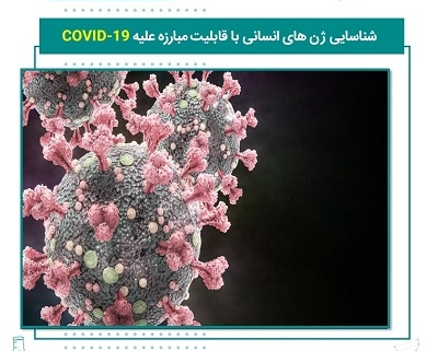 شناسایی ژن های انسانی با قابلیت مبارزه علیه COVID-19