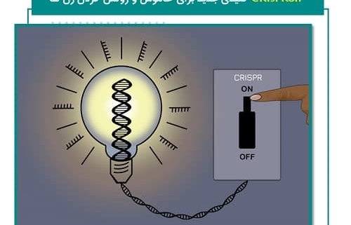 کلیدی جدید برای خاموش و روشن کردن ژن ها CRISPRoff