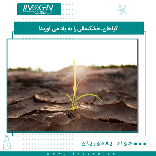 گیاهان، خشکسالی را به یاد می آورند! در طول خشکسالی، گیاهان از یک مولکول سیگنالینگ استفاده می کنند که از طریق مطالعات حیوانی شناخته شده است و این مولکول از دست دادن آب در آن ها را محدود می‌کند. این مولکول نوعی حافظه از خشک سالی ایام را برای آن ها فراهم می کند.