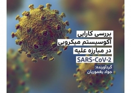 بررسی کارایی اکوسیستم میکروبی در مبارزه علیهSARS-CoV-2