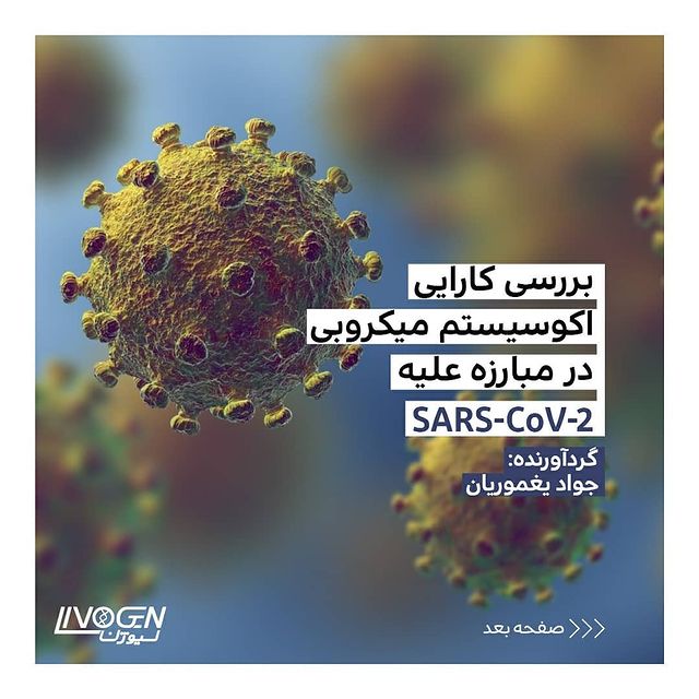 بررسی کارایی اکوسیستم میکروبی در مبارزه علیهSARS-CoV-2 