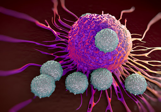 واکنش-سلول-های-ایمنی-در-برابر-سلول-های-سرطانی
